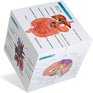 Human Anatomical Poster Set Anatomy Study Cube Medical Student Learning Tool Anatomy Chart Set, 9 Parts Heart, Muscular, Skeletal, Digestive, Circulatory etc. Gift Package 3.9"X3.9"