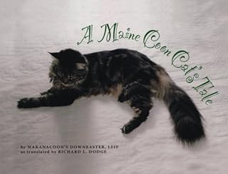 A Maine Coon Cat's Tale