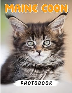 Maine Coon Kittens Photo Book: The Larges Domesticated Cats Picture Book for Decor | 40+ Pages High Quality Pictures for Relaxation with Stress Relief