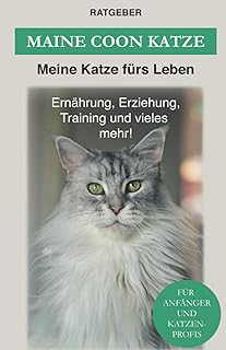 Maine Coon: Maine Coon Katze Ratgeber - Erziehung, Ernährung und Pflege (Katzenrassen) (German Edition)