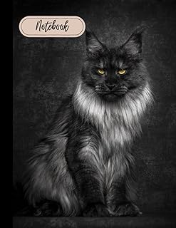 maine coon cat notebook: Maine coon notebook journal for girls
