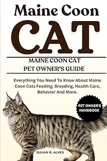 MAINE COON CAT: Everything You Need To Know About Maine Coon Cats Feeding, Breeding, Health Care, Behavior And More.
