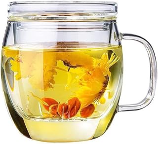 Glass Tea Cup with Infuser and Lid,500ml (17oz) Borosilicate Glass Tea Mugs for Loose Leaf Tea,Glass Tea Cups with Filter for Black Tea,Great Loose Tea-leaf Brewing System
