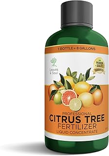 Leaves and Soul Citrus Tree Fertilizer 8 oz, Professional Liquid Citrus Fertilizer 6-4-6 Concentrate for Citrus Trees, Fruit Tree Fertilizer for Outdoor Trees & Potted Plants