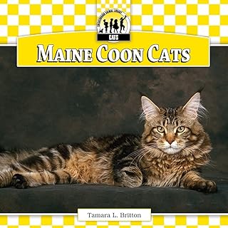 Maine Coon Cats