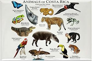 CafePress Costa Rica Animals Rectangle Magnet, 3"x2" Refrigerator Magnet