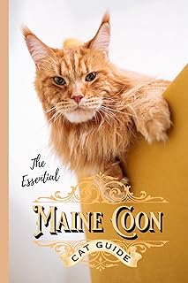Maine Coon Cat Guide: The Essential Maine Coon Guide (Cat Breeds Book 1)
