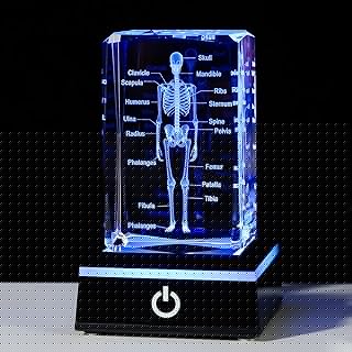 3D Human Skeleton Anatomy Model Doctor Psychology Graduation Gifts for Him Her, Laser Etched Crystal Skeleton Figurine Paperweight Science Biology Gift with Colorful LED Base