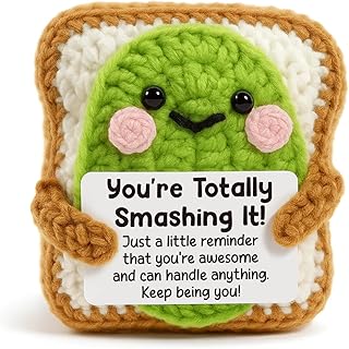 Funny Encouragement Gifts for Women, Coworkers, Friends - Cute Crochet Avocado Toast, Congratulations Gift for New Job Promotion, Emotion Positive Support Desk Decor