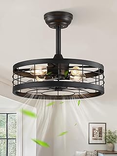 LEDIARY 18 inch Black Caged Ceiling Fan with Light, Bladeless Industrial Ceiling Fan with Remote, Farmhouse Fan Lights Ceiling Fixtures for Kitchen, Bedroom, Outdoor（6 Speed, Timing）-Black