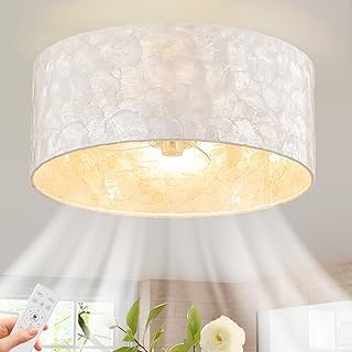 Boho Coastal Ceiling Fan with Lights and Remote, Enclosed Caged Design with Shell Lampshade — Fandelier for Bedroom, Nursery, Foyer, Kitchen (6 Speeds)