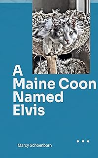 A Maine Coon Named Elvis: Life and times of a four month old Maine Coon Kitten