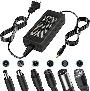 PUKOKAL 29.4V 2A Hoverboard Charger Universal 24V Lithium Battery Charger with 7 Plugs for Electric Scooter GoTrax G1 Edge Nova GKS Hoverfly SRX (NOT for 36V/42V)
