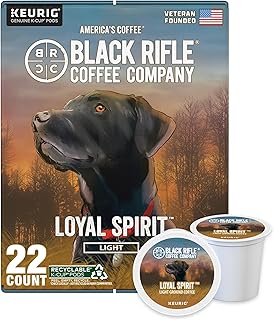 Light Roast K Cups - Single Serve K Cups Coffee Pods - Kcup Pods Compatible with Keurig 1.0 & 2.0 - Made from Pure Arabica Beans (Loyal Spirit, 22 Count)