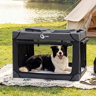 Portable Collapsible Dog Crate for Medium Dogs, 4 Mesh Doors & 2 Storage Bags, Indoor Outdoor Travel Dog Kennel, BlackGrey, 30" x 21" x 21"