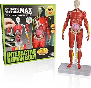 Interactive Human Body - 60 Piece Fully Poseable Anatomy Figure – 14” Tall Model - Anatomy Kit – Removable Muscles, Organs,Bones STEM Toy – Ages 8+