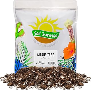Soil Sunrise Citrus Tree Potting Soil Mix (12 Quarts) Special Blend for Indoor Oranges, Lemons, Limes and More