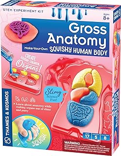 Gross Anatomy: Make-Your-Own Squishy Human Body STEM Experiment Kit | Make Colorful Models of Human Organs with Slime & Putty | Fun, Tactile Intro to Human Anatomy | 5 Cool Activities