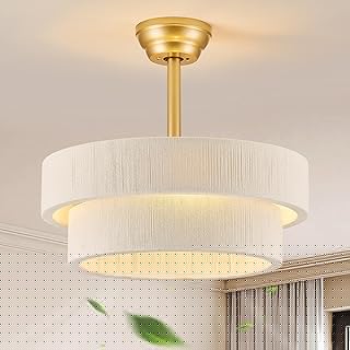 Boho Ceiling Fan with Light, Caged Fandelier Ceiling Fan with Light and Remote Control, Rattan Chandelier Fan for Bedroom, Living Room,Kitchen,Foyer(20 Inch, 6 Speed, Timing Adjustable Height)