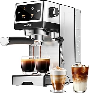 20Bar Espresso Machine with Milk Frother Cold Brew,Touchscreen Expresso Coffee Machine for Home,Compact Espresso Machines Small Kitchens,Cappuccino Latte Machine,45oz Water Tank,Silver