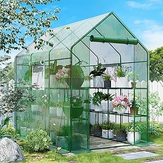 SPECILITE 56×85×77Inch Walk-in Greenhouse, Heavy Duty Small Plant House with Thicken PE Cover and Steel Frame, for Garden, Outdoors, Indoors, Green