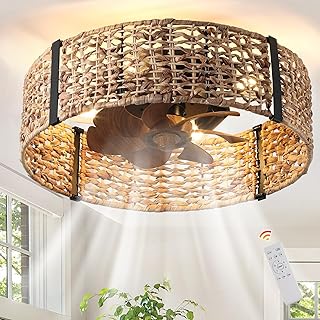 Ganeed 20" Boho Fandelier Ceiling Fan with Light, Rattan Caged Ceiling Fan with Light and Remote Control, Quiet Reversible Motor Enclosed Low Profile 6 Speeds for Bedroom Living Room Porch Kids Room
