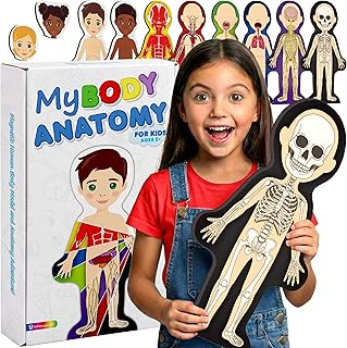 MyBODY Large Human Body Anatomy Model for Kids & Teens - Bottom-to-Top Magnetic Assembly Toy & Educational Learning Kit with Skeleton Base, 7 Puzzle Layers incl. Muscular, Digestive & Nervous Systems