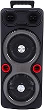Portable Bluetooth Speaker with Wireless Mics, 120W Peak Power Dual 6.5" Drivers Party Speaker, RGB Lights, TWS Pairing, FM Radio, Karaoke Machine Support USB/AUX for Outdoor Camping, Wedding