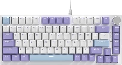 AJAZZ AK820 75% Wired RGB Gasket Mechanical Keyboard with Volume Knob, Compact 82 Keys Hot-Swap Keyboard, OME Profile PBT Keycap, Detachable Type-C Cable (Purple&Blue)