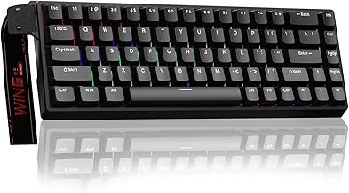 WIN68 HE Mechanical Gaming Keyboard 60%, Hall Effect Magnetic Switch, Fast Trigger Mode Adjustable Actuation, 8000Hz Polling Rate, RGB Backlit, Wired Black Keyboard for Laptop/PC Gamer