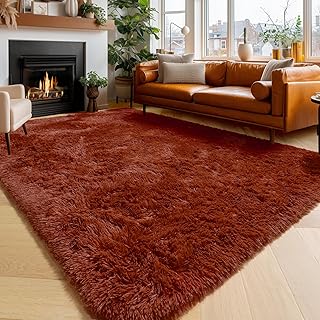 Amdrebio Terracotta Rust Area Rugs for Bedroom Living Room, Fluffy Shaggy Furry Fuzzy Rug 5x8 for Kids Room Decor Aesthetic, Modern Cute Plush Shag Rustic Carpet for Nursery Dorm Classroom Playroom